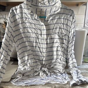 American Eagle Outfitters Blue and White Long Sleeve Button Down